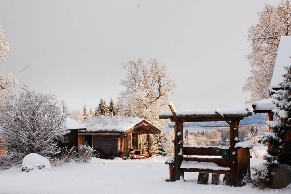 100 Years Old Norwegian Log House In Tromso 빌라 외부 사진