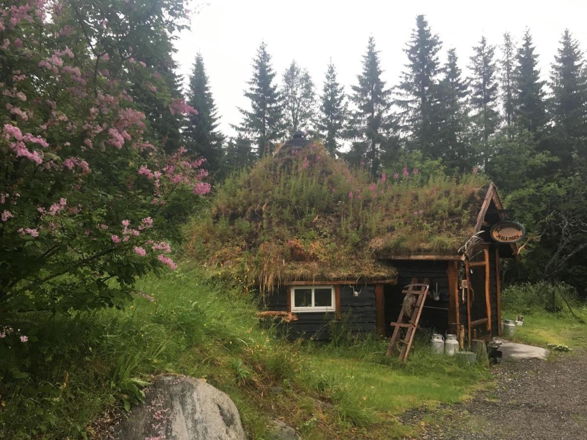 100 Years Old Norwegian Log House In Tromso 빌라 외부 사진