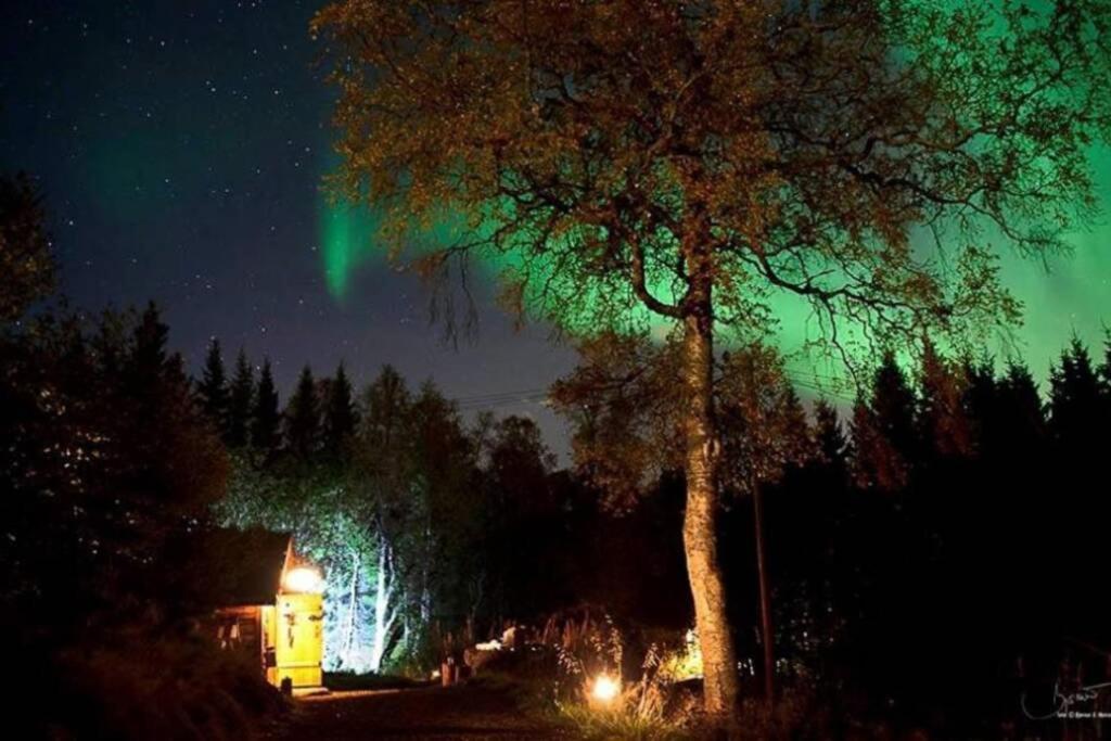 100 Years Old Norwegian Log House In Tromso 빌라 외부 사진
