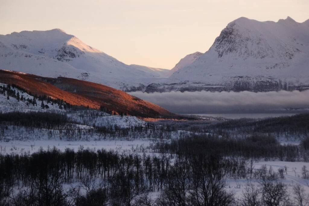 100 Years Old Norwegian Log House In Tromso 빌라 외부 사진