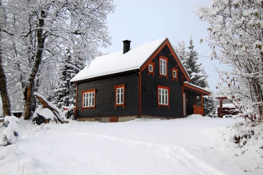100 Years Old Norwegian Log House In Tromso 빌라 외부 사진