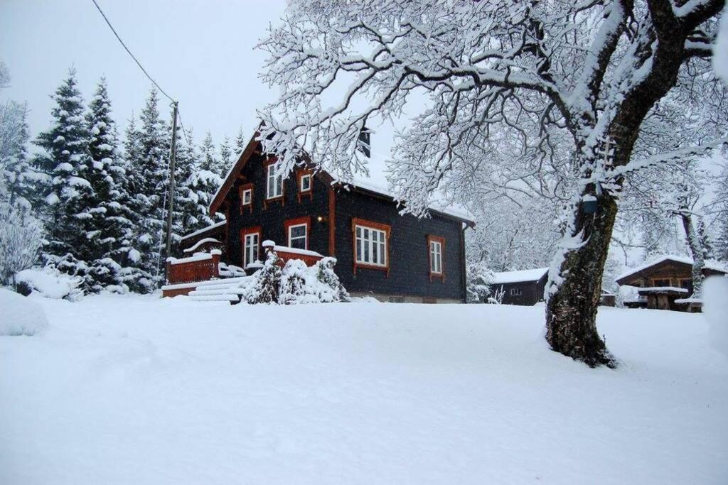 100 Years Old Norwegian Log House In Tromso 빌라 외부 사진