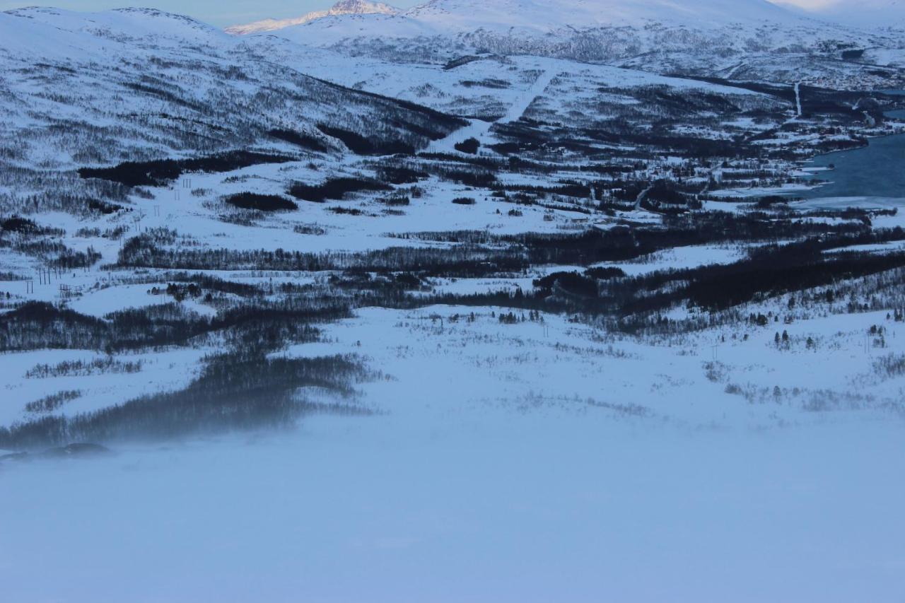 100 Years Old Norwegian Log House In Tromso 빌라 외부 사진