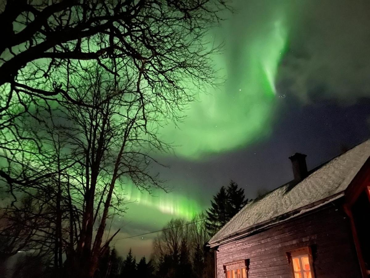 100 Years Old Norwegian Log House In Tromso 빌라 외부 사진